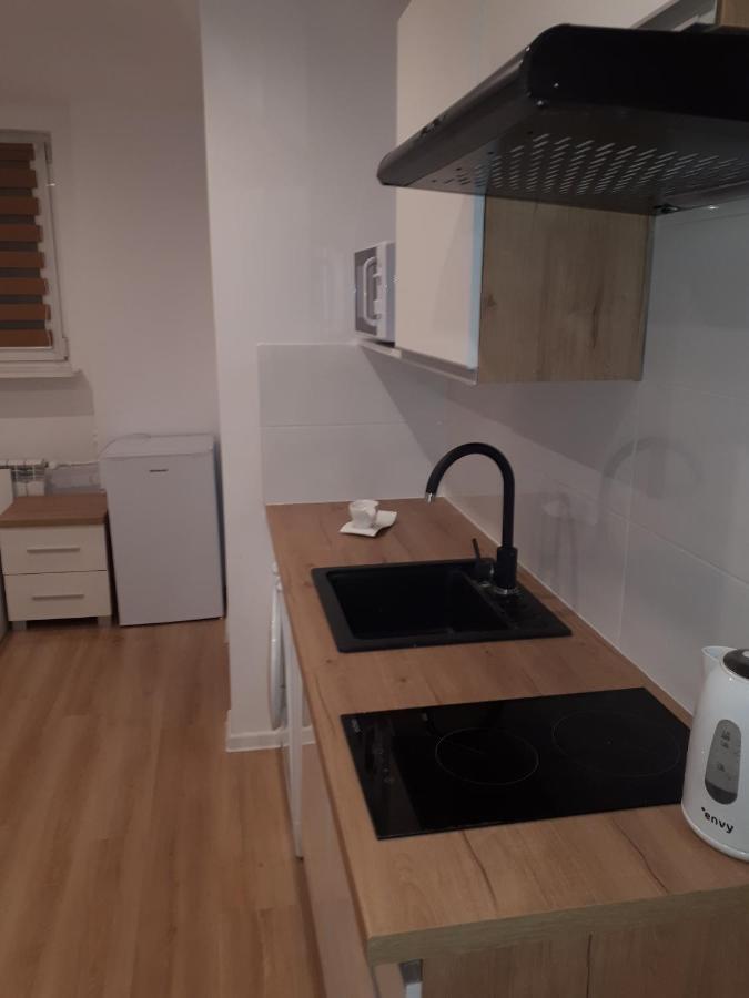 Apartamenty Centrum Panoramiczna Mala Dwojka Swan Labedz Promenada Klimatyzacja Lodowa Kielce Exterior foto